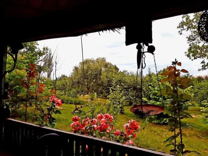 Perla Neagra Lotus Spa Caineni-Bai Dış mekan fotoğraf